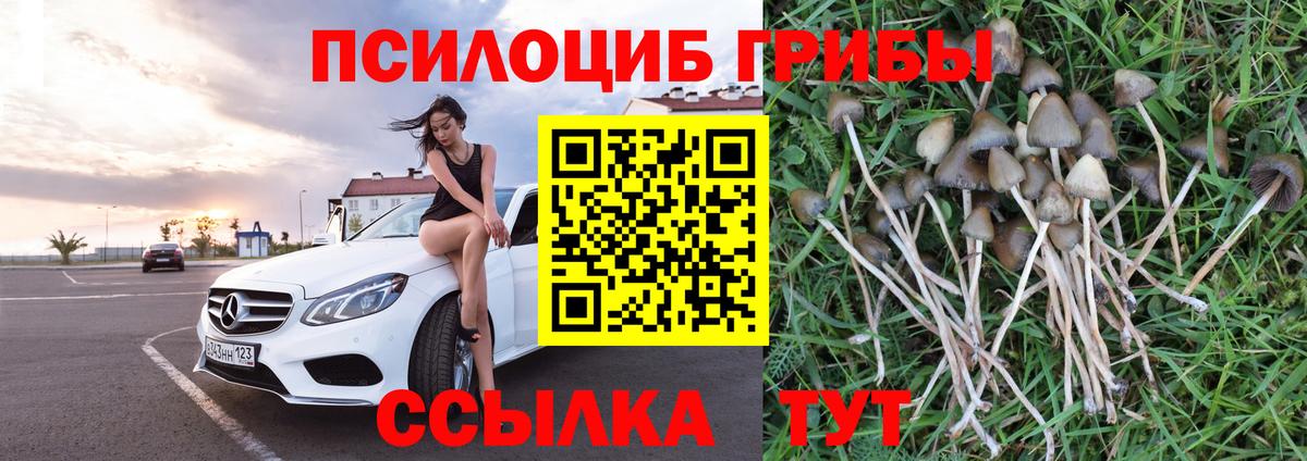 Псилоцибиновые грибы мицелий Электросталь