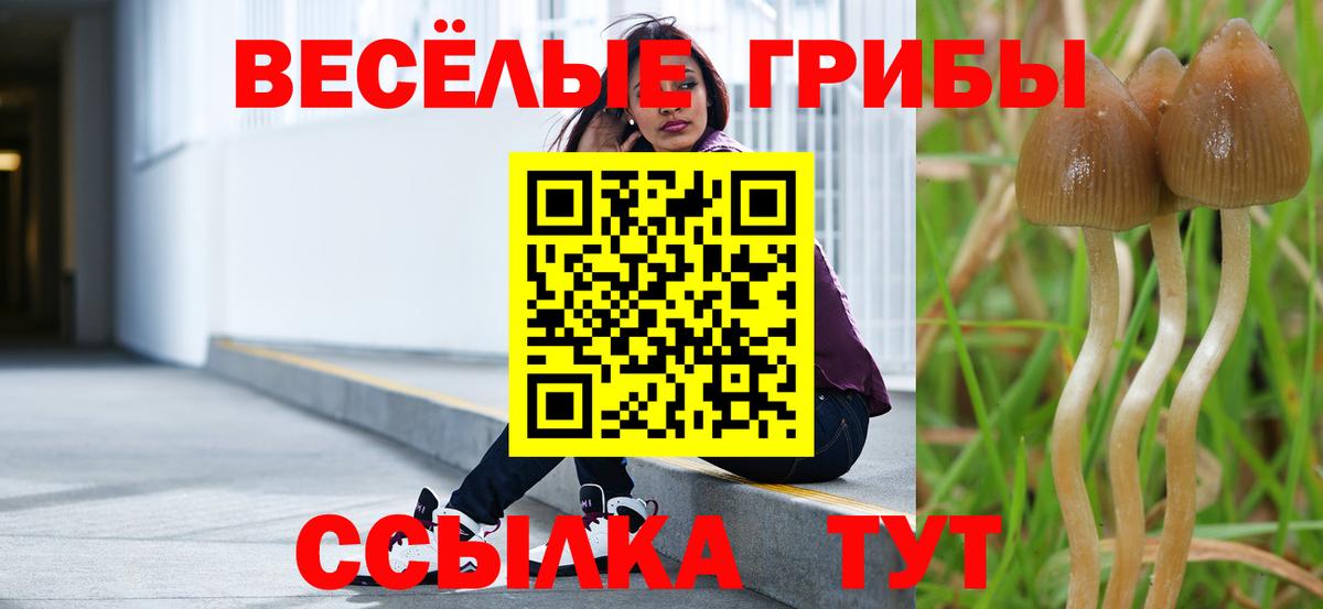 Псилоцибиновые грибы Cubensis  купить наркотики сайты  Электросталь  Вход с VPN 